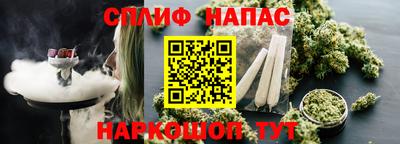 тгк Можга