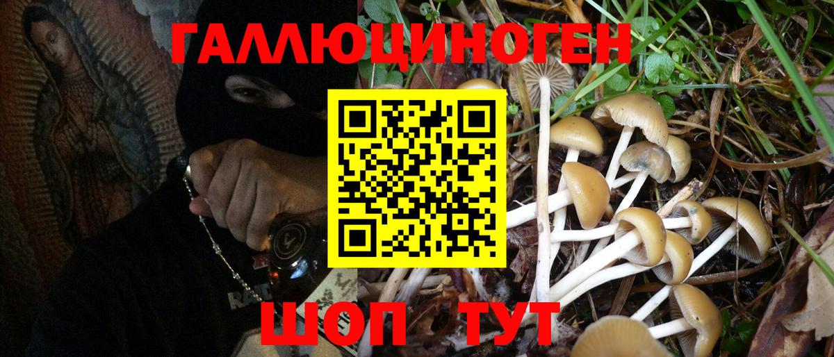 Владивосток  Галлюциногенные грибы Psilocybe  Вход с VPN 