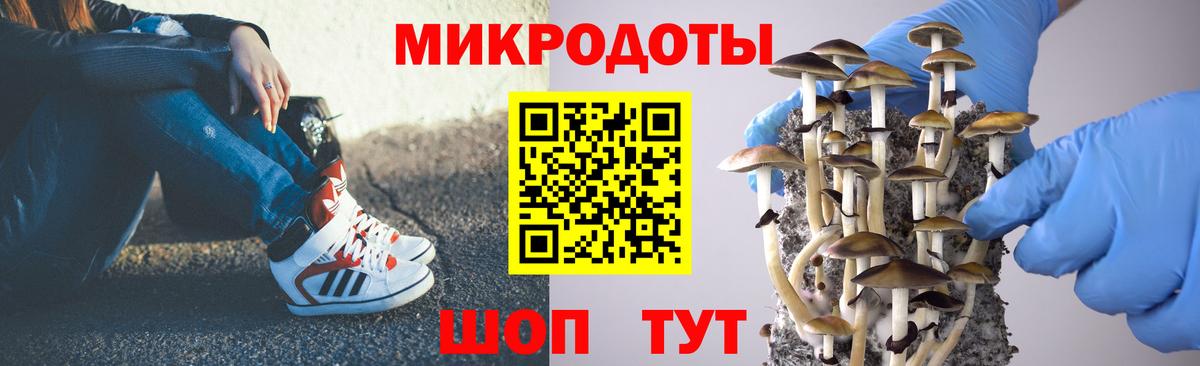 Галлюциногенные грибы Magic Shrooms Владивосток